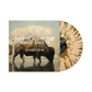 This is How the Wind Shifts 10th Anniversary 12" Vinyl Re Issue